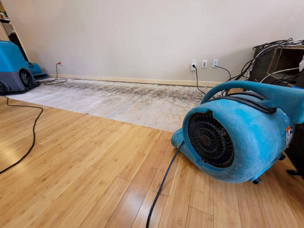 Professional Water Extraction technician working in Yonkers, NY